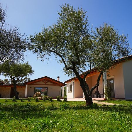 Agriturismo Casale Degli Ulivi Alghero Santa Maria la Palma Exterior photo